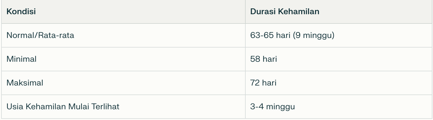 tabel informasi durasi kehamilan kucing